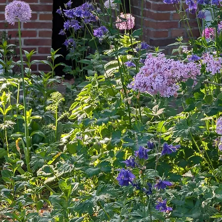 Traumkrone - Himmelblau *