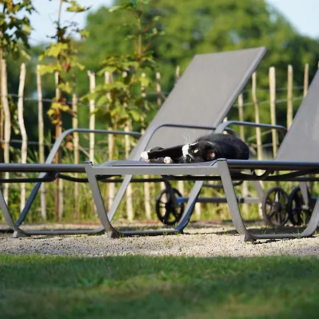 Traumkrone - Himmelblau * Schortens