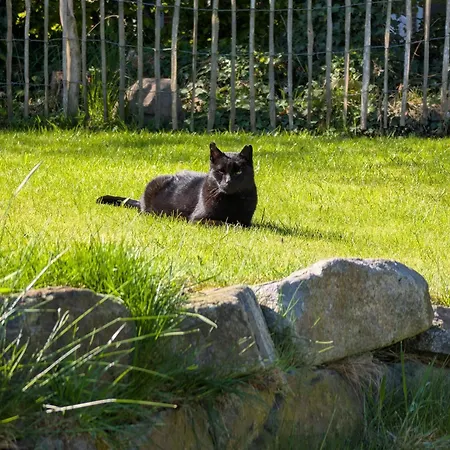 Appartement Traumkrone - Himmelblau