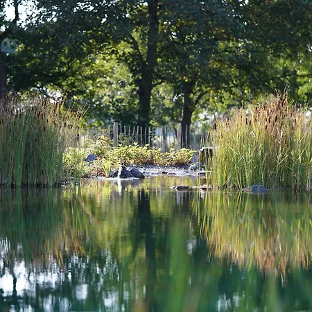 Traumkrone - Himmelblau *