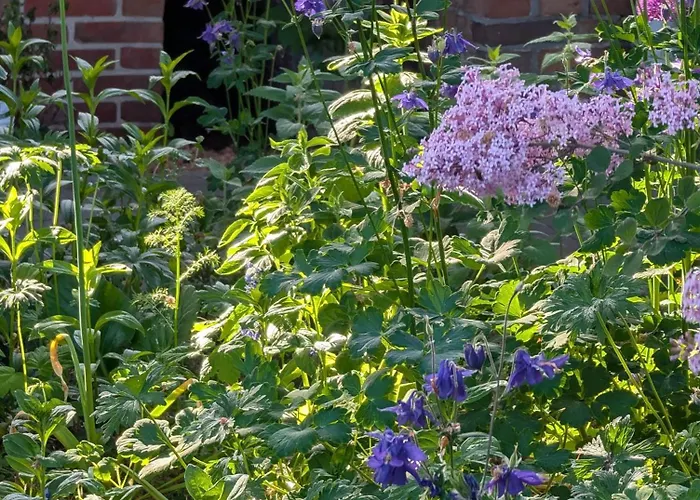 Traumkrone - Himmelblau *