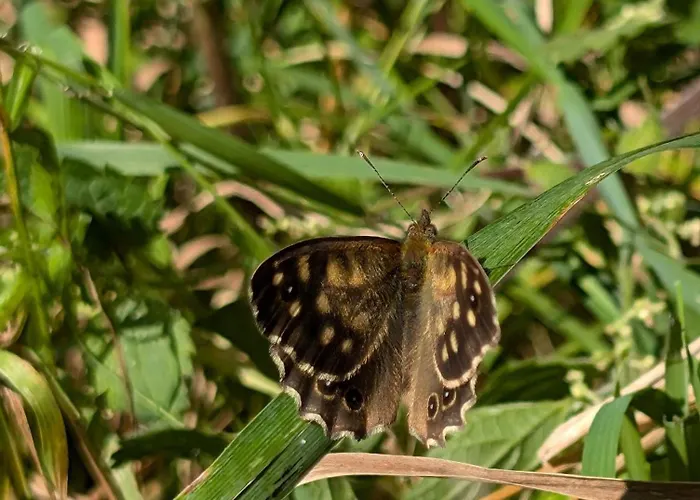 Apartamento Traumkrone - Himmelblau Schortens