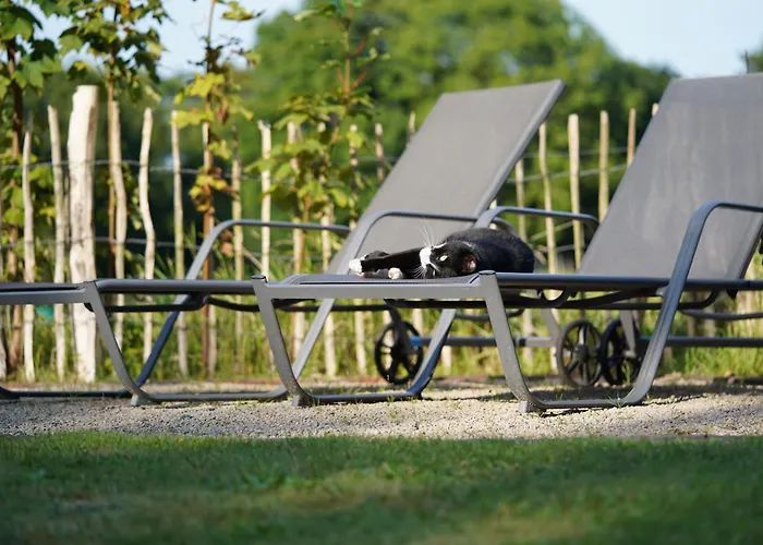 Traumkrone - Himmelblau * Schortens