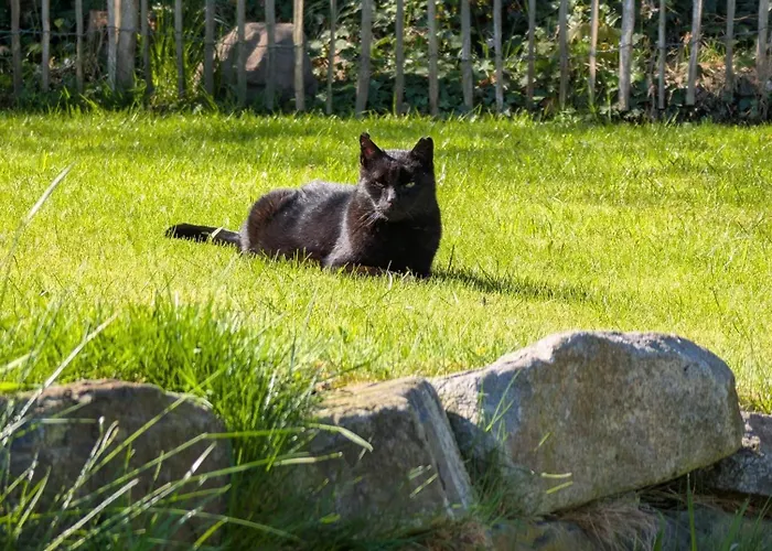 Apartamento Traumkrone - Himmelblau