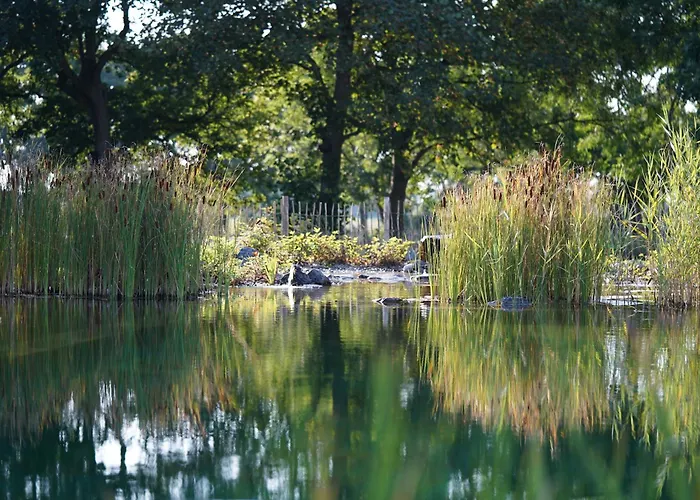 Traumkrone - Himmelblau *