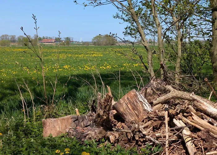 Traumkrone - Himmelblau Schortens