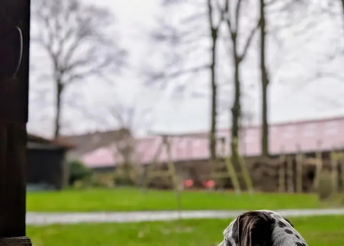 Traumkrone - Himmelblau Apartamento Schortens