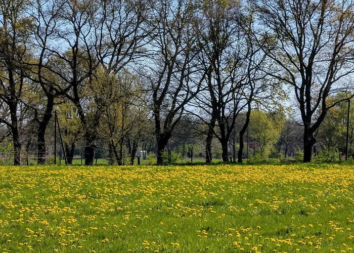 Apartamento Traumkrone - Himmelblau Schortens