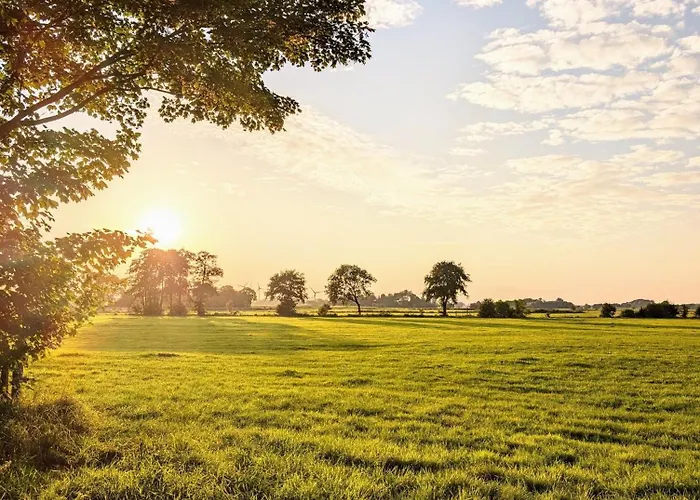 Traumkrone - Himmelblau *