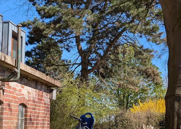 Traumkrone - Himmelblau